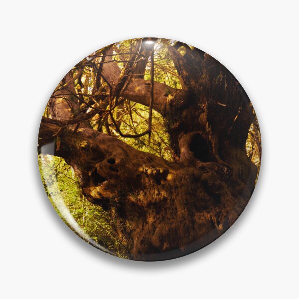 Item preview, Chichester Ancient Yews designed and sold by mortal perspective .