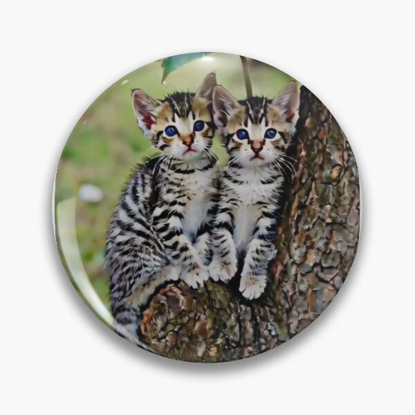 Item preview, •	Zwei Katzen unter Blätterschirm im Baum 	•	Two Cats under Leaf Umbrella in Tree 	•	Katzen & Natur – Magischer Moment designed and sold by Yaroplanner.