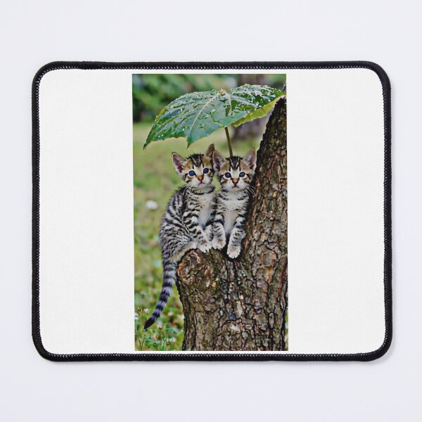 Item preview, • Zwei Katzen unter Blätterschirm im Baum • Two Cats under Leaf Umbrella in Tree • Katzen & Natur – Magischer Moment designed and sold by Yaroplanner.