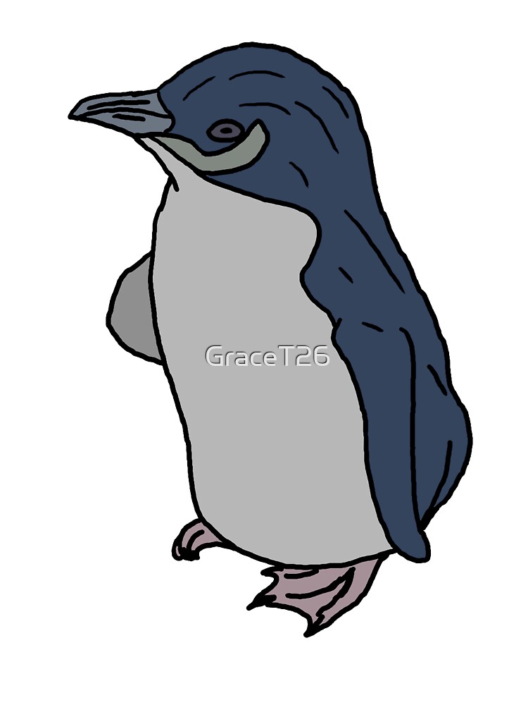 Australian Little Penguin Australian Little Penguin