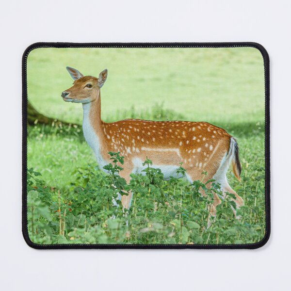 Item preview, Fallow Deer Doe on the alert designed and sold by Dalyndigital Photography.