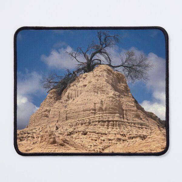 Item preview, 2274 Lunett and tree designed and sold by Hans Kawitzki.