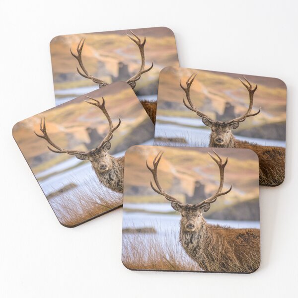 Item preview, Red Deer Stag near Ardvreck Castle. Assynt. Scotland. Portrait designed and sold by CEastwoodPhotos.