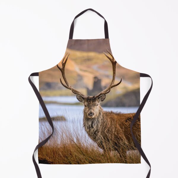 Item preview, Red Deer Stag near Ardvreck Castle. Assynt. Scotland. Portrait designed and sold by CEastwoodPhotos.