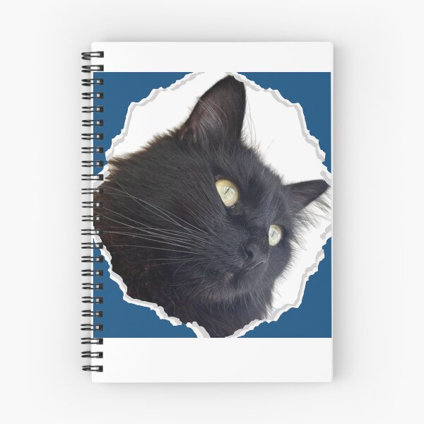 Aperçu de l'œuvre Chat noir créée et vendue par lumar23.