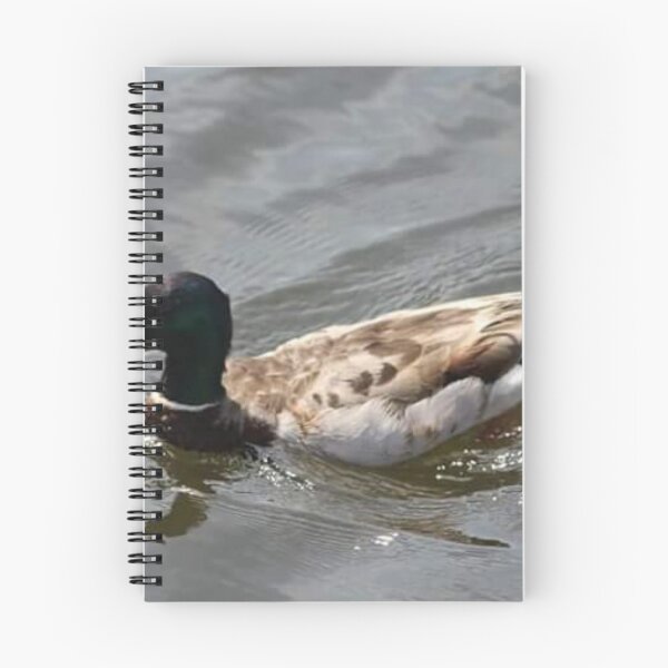 Item preview, Duck designed and sold by CF11.