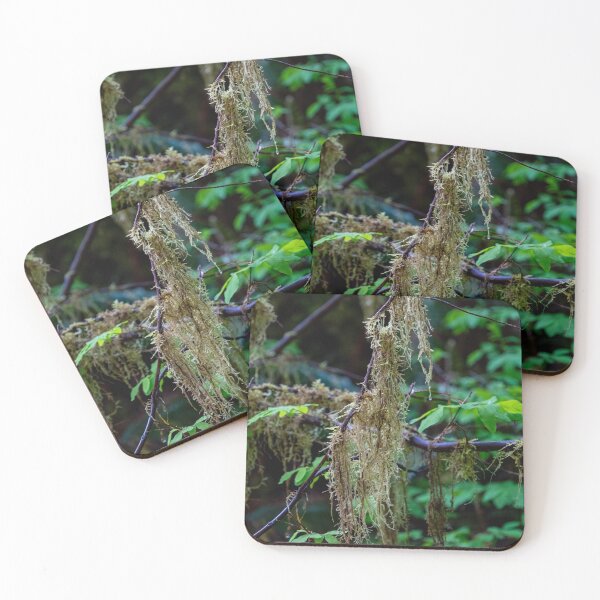 Item preview, Spanish Moss designed and sold by TinyDinoDesigns.