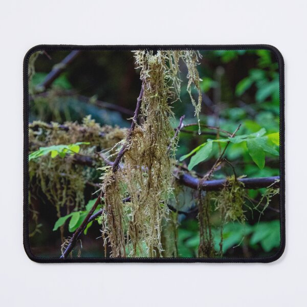 Item preview, Spanish Moss designed and sold by TinyDinoDesigns.
