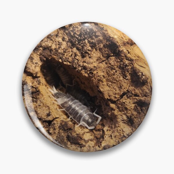 Item preview,  Crumble Isopod designed and sold by AbsurdExotics.
