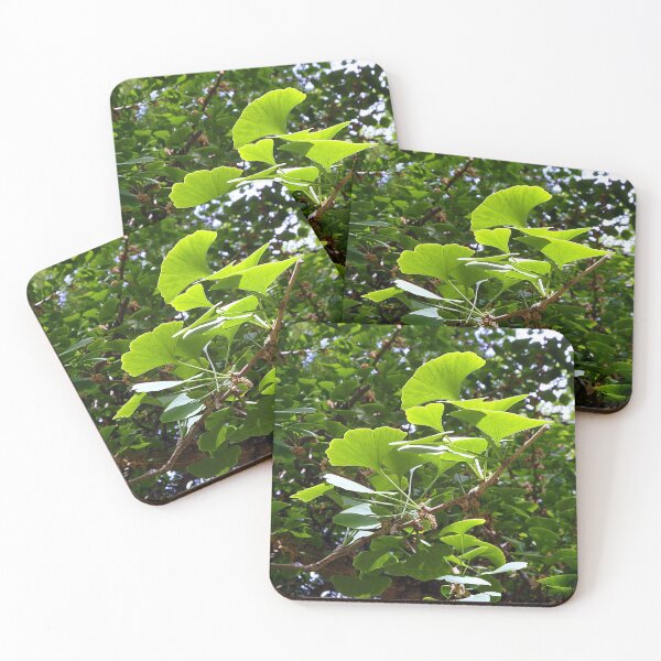 Item preview, ginkgo - tree with green leaves designed and sold by Danler.