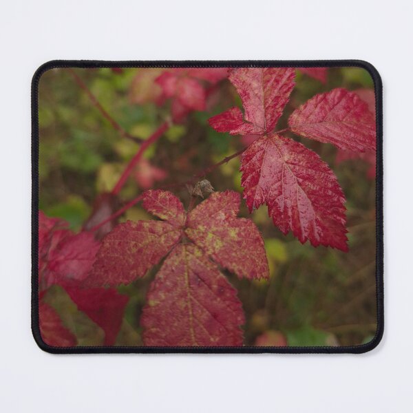 Item preview, Red autumn leaves in the forest designed and sold by KittyLinka.