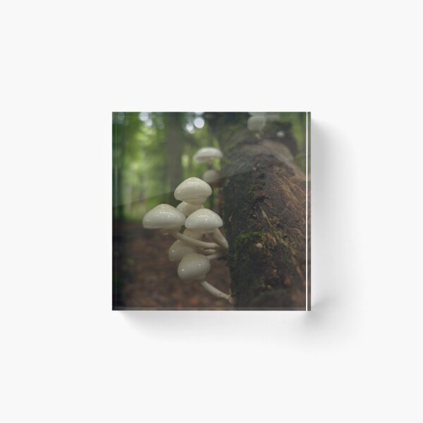 Item preview, Small porcelain mushrooms on the dead tree designed and sold by KittyLinka.