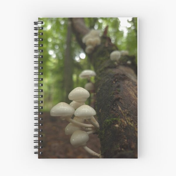 Item preview, Small porcelain mushrooms on the dead tree designed and sold by KittyLinka.