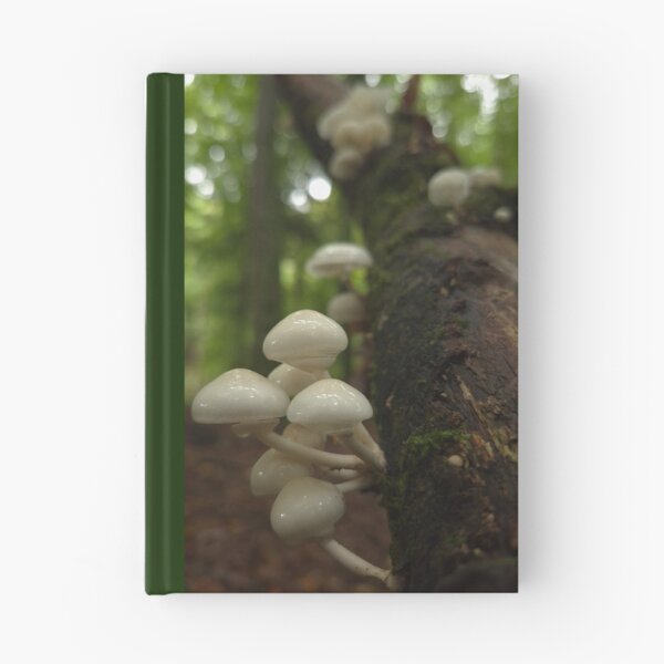 Item preview, Small porcelain mushrooms on the dead tree designed and sold by KittyLinka.