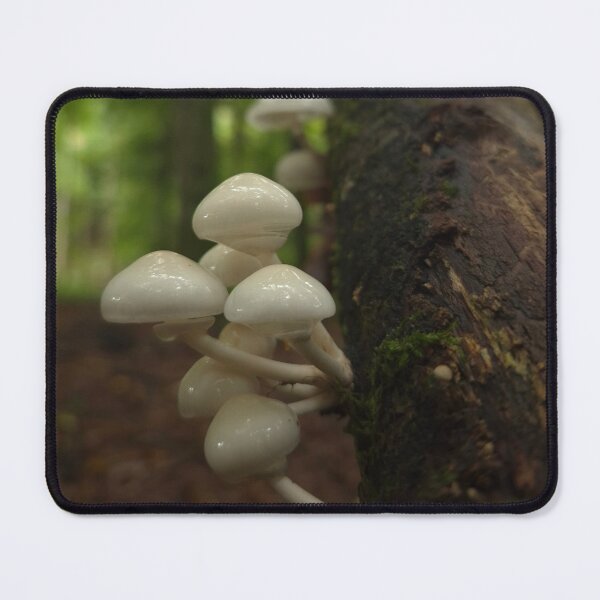 Item preview, Small porcelain mushrooms on the dead tree designed and sold by KittyLinka.