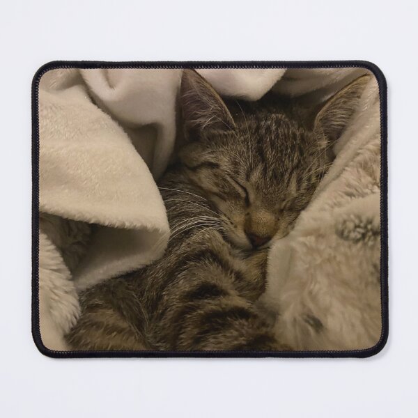 Item preview, kitten asleep designed and sold by CollinAyarza.