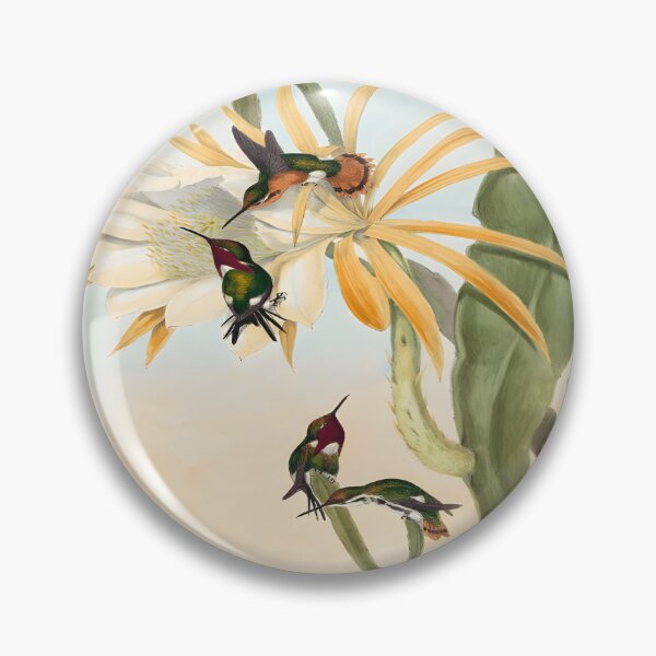 Item preview, Calothorax heliodori (1804–1902) by John Gould and Henry Constantine Richter Classic 		 designed and sold by acqxdmfvw77.