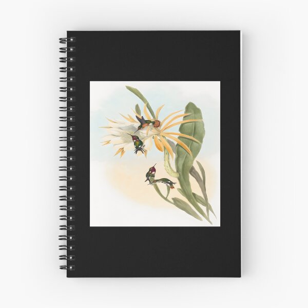 Item preview, Calothorax heliodori (1804–1902) by John Gould and Henry Constantine Richter Classic 		 designed and sold by acqxdmfvw77.
