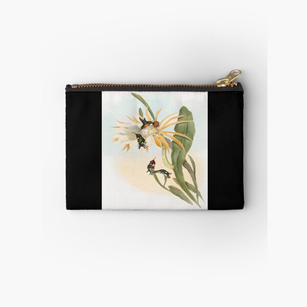Item preview, Calothorax heliodori (1804–1902) by John Gould and Henry Constantine Richter Classic 		 designed and sold by acqxdmfvw77.