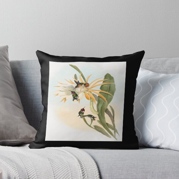 Item preview, Calothorax heliodori (1804–1902) by John Gould and Henry Constantine Richter Classic 		 designed and sold by acqxdmfvw77.