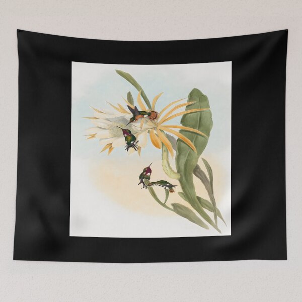 Item preview, Calothorax heliodori (1804–1902) by John Gould and Henry Constantine Richter Classic 		 designed and sold by acqxdmfvw77.