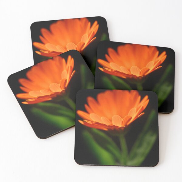 Item preview, Orange flower on black background designed and sold by olena2552.