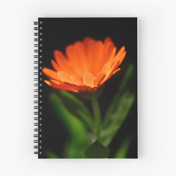 Item preview, Orange flower on black background designed and sold by olena2552.