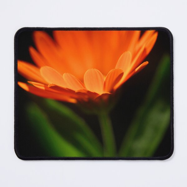Item preview, Orange flower on black background designed and sold by olena2552.
