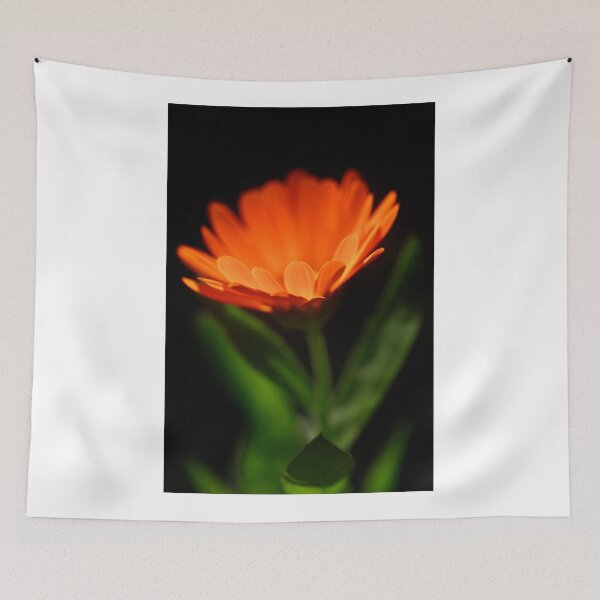 Item preview, Orange flower on black background designed and sold by olena2552.