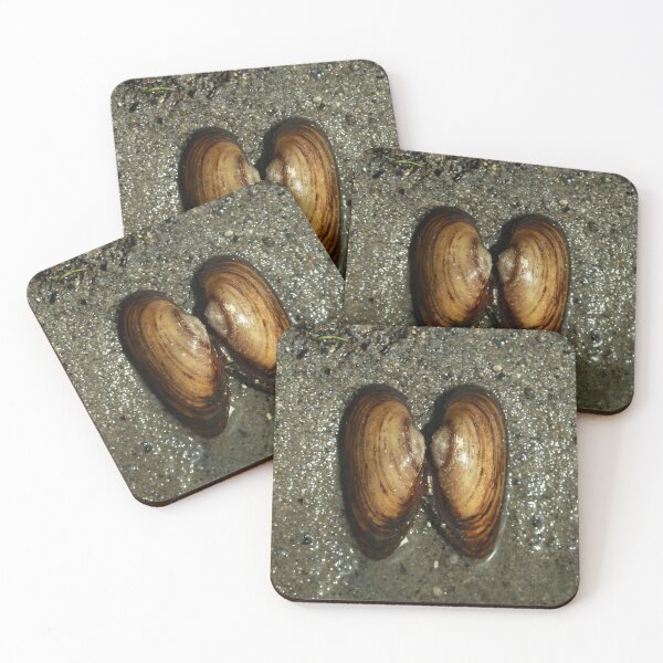 Item preview, Shells on wet river bank designed and sold by olena2552.