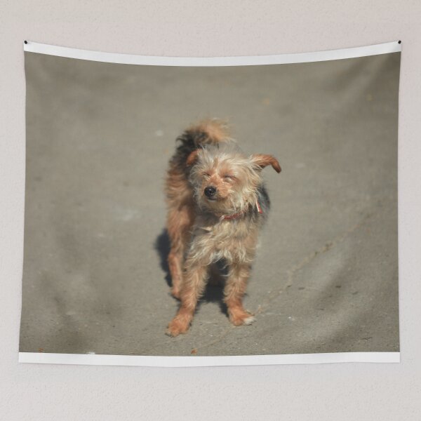 Item preview, Portrait of cute red dog designed and sold by olena2552.