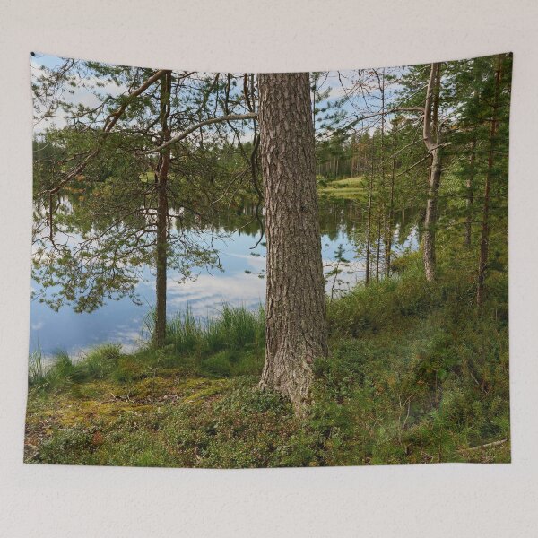 Item preview, Rapalampi Petajakangas 2025 designed and sold by Jouko Lehto Photography.