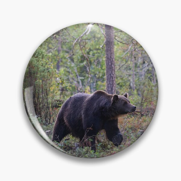 Item preview, Sniff. Brown bear 2025 designed and sold by Jouko Lehto Photography.