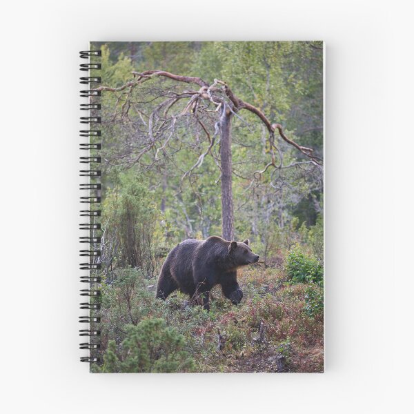 Item preview, Sniff. Brown bear 2025 designed and sold by Jouko Lehto Photography.
