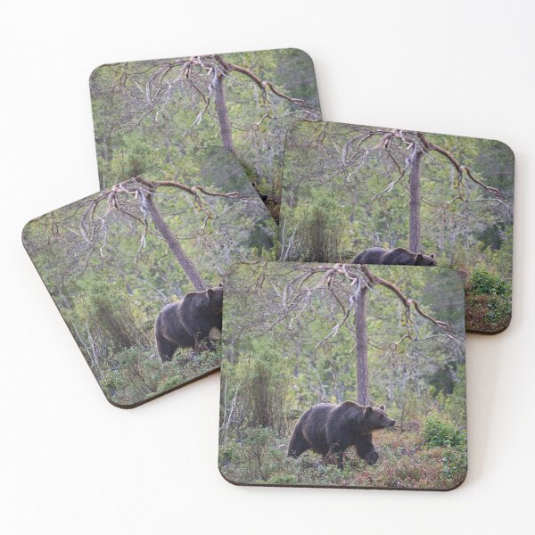 Item preview, Sniff. Brown bear 2025 designed and sold by Jouko Lehto Photography.