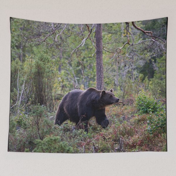 Item preview, Sniff. Brown bear 2025 designed and sold by Jouko Lehto Photography.