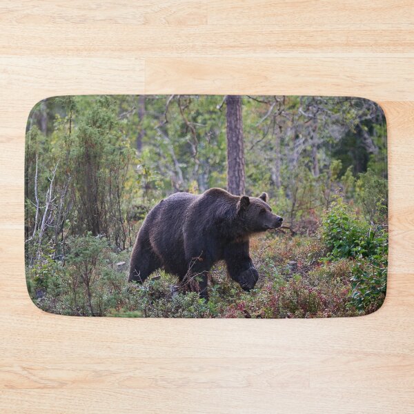 Item preview, Sniff. Brown bear 2025 designed and sold by Jouko Lehto Photography.