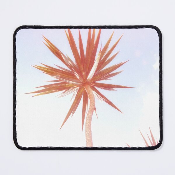 Item preview, Yucca Elephantipes designed and sold by anafrancisconi.