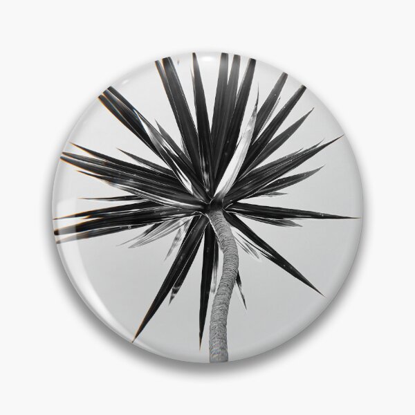 Item preview, Yucca Elephantipes designed and sold by anafrancisconi.