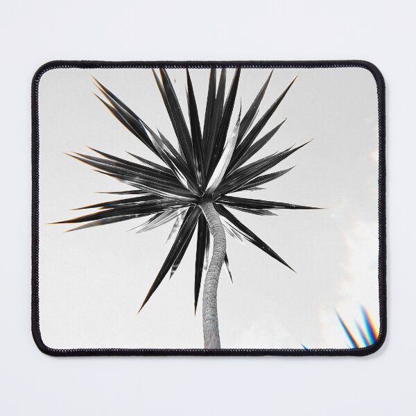 Item preview, Yucca Elephantipes designed and sold by anafrancisconi.