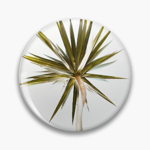 Item preview, Yucca Elephantipes designed and sold by anafrancisconi.