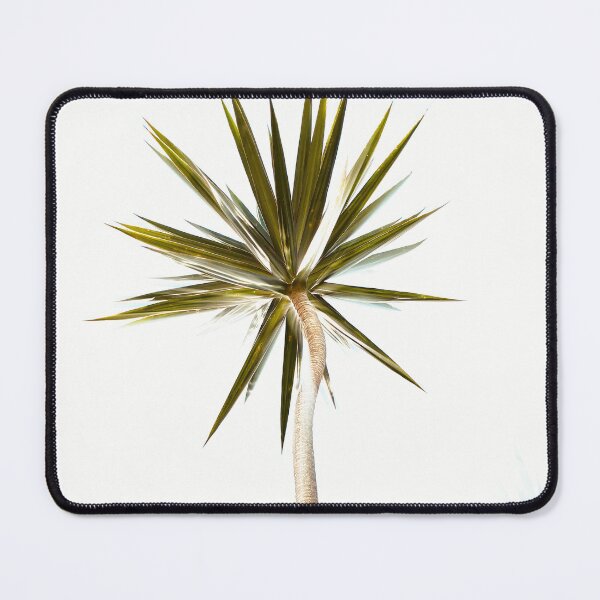 Item preview, Yucca Elephantipes designed and sold by anafrancisconi.