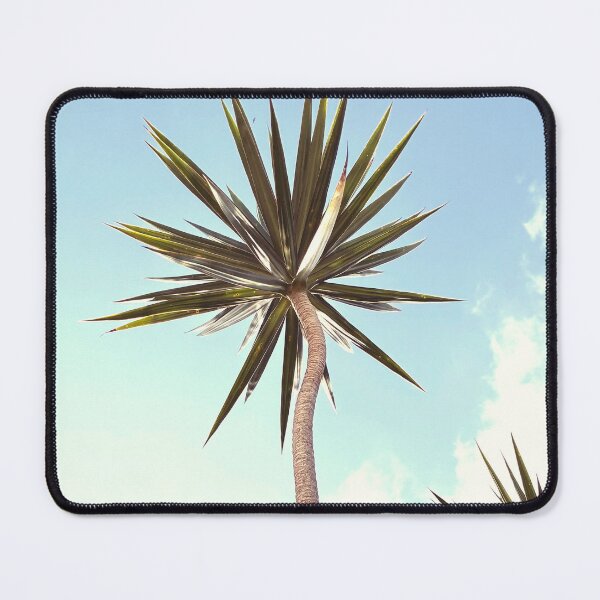 Item preview, Yucca Elephantipes designed and sold by anafrancisconi.