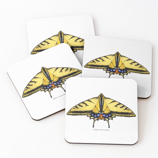 Item preview, Papilio multicaudata, labeled designed and sold by marinemolecules.