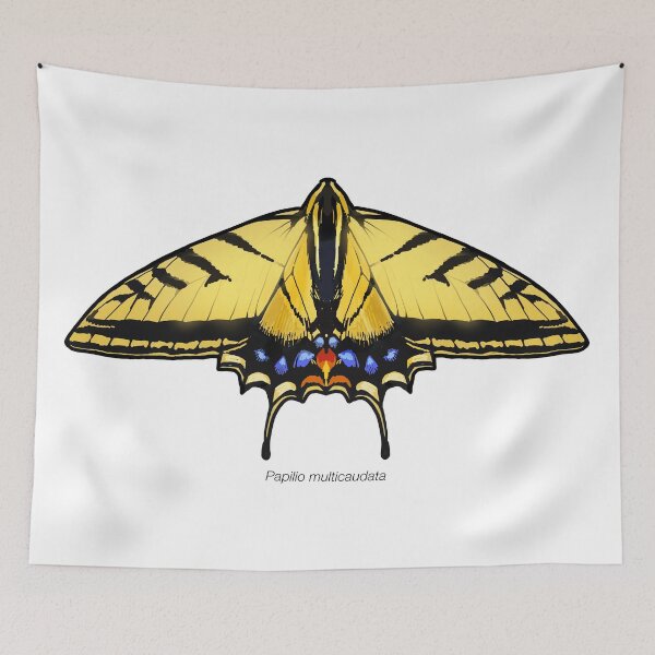 Item preview, Papilio multicaudata, labeled designed and sold by marinemolecules.