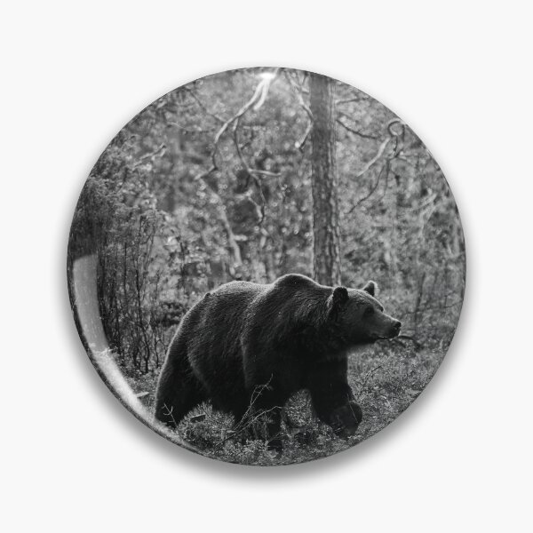 Item preview, Sniff. Brown bear 2025 bw designed and sold by Jouko Lehto Photography.