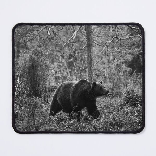 Item preview, Sniff. Brown bear 2025 bw designed and sold by Jouko Lehto Photography.