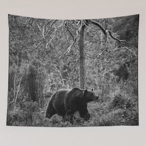 Item preview, Sniff. Brown bear 2025 bw designed and sold by Jouko Lehto Photography.