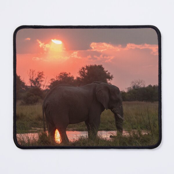 Item preview, Fire Sky – Elephant Silhouette at Sunset designed and sold by DavideAntoniani.