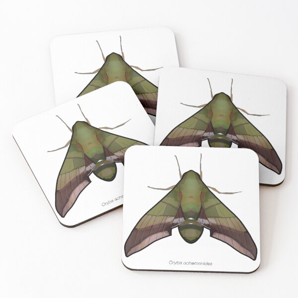 Item preview, Oryba achemenides, labeled designed and sold by marinemolecules.
